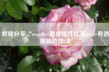 教程分享“wepoKer透视插件红龙poker有透视辅助挂(太