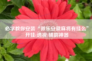 必学教你安装“微乐安徽麻将有挂么”开挂(透视)辅助神器