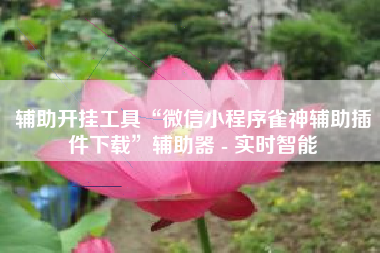 辅助开挂工具“微信小程序雀神辅助插件下载”辅助器 - 实时智能