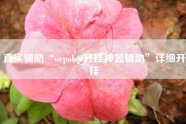 真实辅助“wepoker开挂神器辅助	”详细开挂