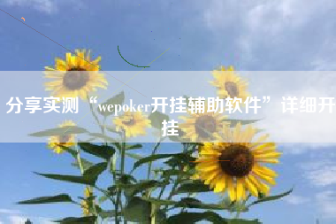 分享实测“wepoker开挂辅助软件”详细开挂
