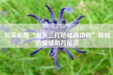 玩家必搜“微乐三打哈辅助功能	”揭秘透视辅助万能挂