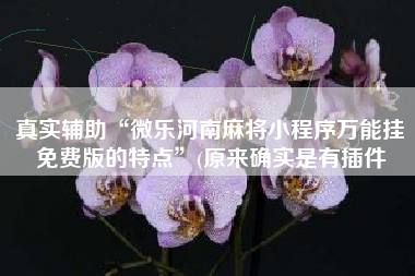 真实辅助“微乐河南麻将小程序万能挂免费版的特点	”(原来确实是有插件