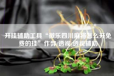 开挂辅助工具“微乐四川麻将怎么开免费的挂”作弊(透视)透视辅助