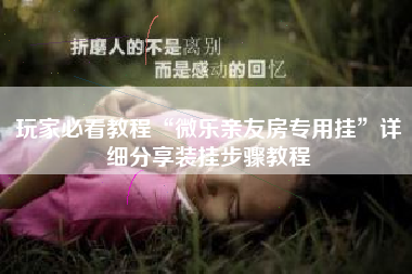 玩家必看教程“微乐亲友房专用挂”详细分享装挂步骤教程