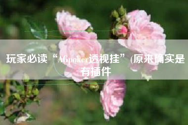 玩家必读“AGpoker透视挂	”(原来确实是有插件