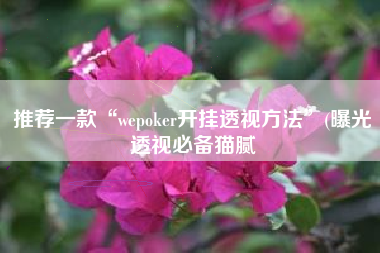 推荐一款“wepoker开挂透视方法	”(曝光透视必备猫腻