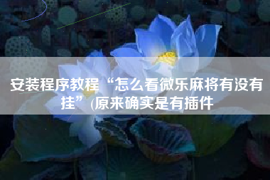 安装程序教程“怎么看微乐麻将有没有挂	”(原来确实是有插件