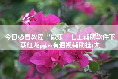 今日必看教程“微乐二七王辅助软件下载红龙poker有透视辅助挂(太