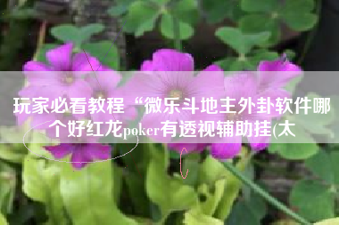 玩家必看教程“微乐斗地主外卦软件哪个好红龙poker有透视辅助挂(太 玩家必看教程“微乐斗地主外卦软件哪个好红龙poker有透视辅助挂(太