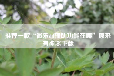 推荐一款“微乐dd辅助功能在哪”原来有神器下载