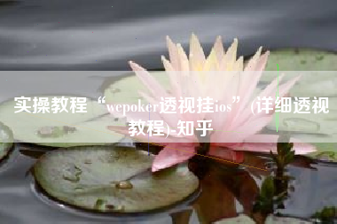 实操教程“wepoker透视挂ios	”(详细透视教程)-知乎