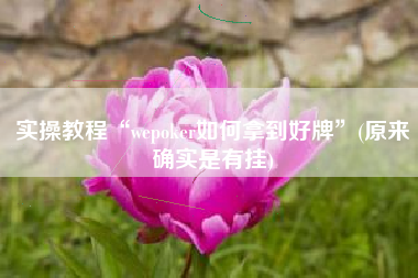 实操教程“wepoker如何拿到好牌”(原来确实是有挂)