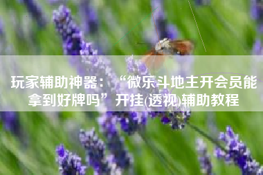 玩家辅助神器：“微乐斗地主开会员能拿到好牌吗”开挂(透视)辅助教程