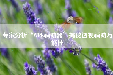 专家分析“WPK辅助器	”揭秘透视辅助万能挂