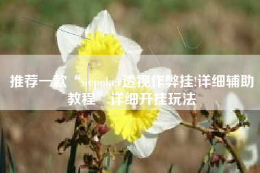 推荐一款“wepoker透视作弊挂!详细辅助教程”详细开挂玩法