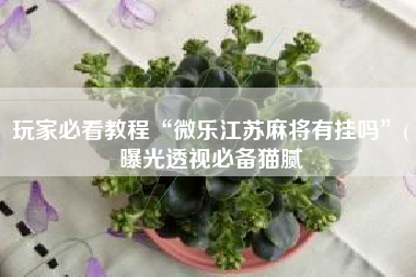 玩家必看教程“微乐江苏麻将有挂吗”(曝光透视必备猫腻