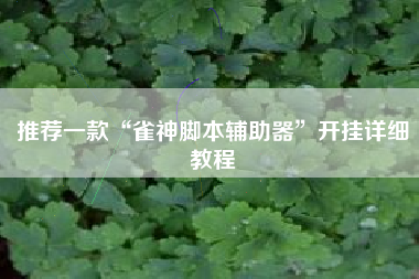 推荐一款“雀神脚本辅助器”开挂详细教程