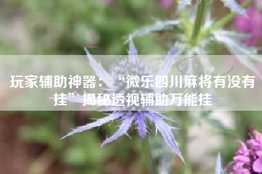 玩家辅助神器：“微乐四川麻将有没有挂”揭秘透视辅助万能挂