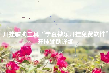 开挂辅助工具“宁夏微乐开挂免费软件”开挂辅助详细