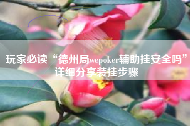 玩家必读“德州局wepoker辅助挂安全吗”详细分享装挂步骤
