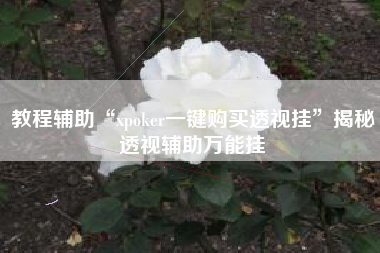 教程辅助“xpoker一键购买透视挂”揭秘透视辅助万能挂