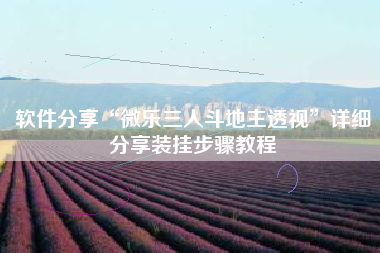 软件分享“微乐三人斗地主透视	”详细分享装挂步骤教程