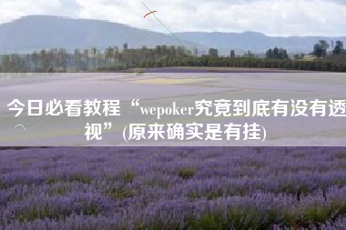 今日必看教程“wepoker究竟到底有没有透视”(原来确实是有挂)