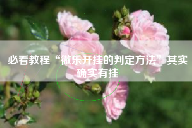 必看教程“微乐开挂的判定方法”其实确实有挂