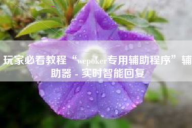 玩家必看教程“wepoker专用辅助程序”辅助器 - 实时智能回复