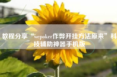 教程分享“wepoker作弊开挂方法原来”科技辅助神器手机版
