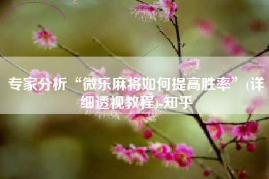 专家分析“微乐麻将如何提高胜率”(详细透视教程)-知乎