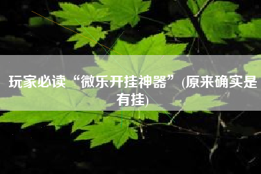 玩家必读“微乐开挂神器”(原来确实是有挂)
