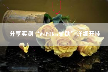 分享实测“WePOKer辅助”详细开挂