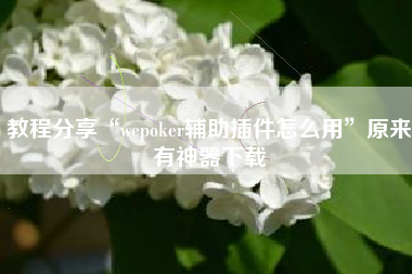 教程分享“wepoker辅助插件怎么用	”原来有神器下载