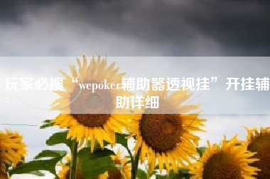 玩家必搜“wepoker辅助器透视挂”开挂辅助详细