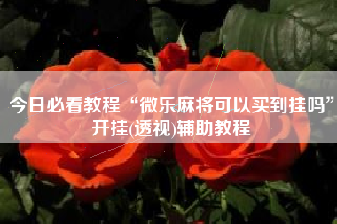 今日必看教程“微乐麻将可以买到挂吗”开挂(透视)辅助教程