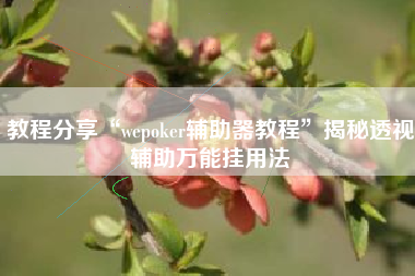 教程分享“wepoker辅助器教程”揭秘透视辅助万能挂用法