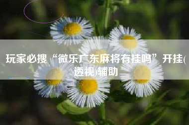 玩家必搜“微乐广东麻将有挂吗”开挂(透视)辅助