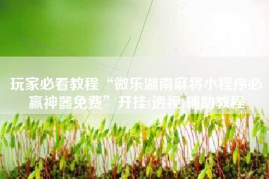 玩家必看教程“微乐湖南麻将小程序必赢神器免费”开挂(透视)辅助教程