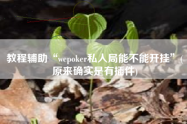 教程辅助“wepoker私人局能不能开挂”(原来确实是有插件)