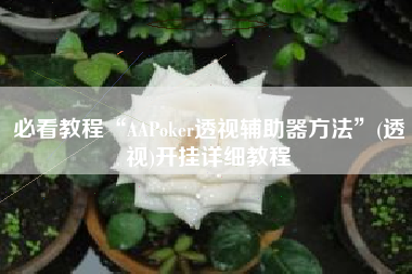 必看教程“AAPoker透视辅助器方法	”(透视)开挂详细教程