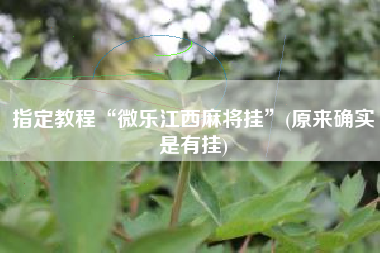 指定教程“微乐江西麻将挂	”(原来确实是有挂)