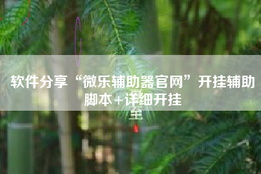 软件分享“微乐辅助器官网”开挂辅助脚本+详细开挂