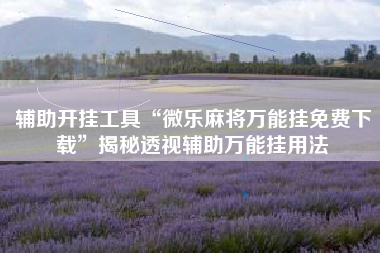 辅助开挂工具“微乐麻将万能挂免费下载	”揭秘透视辅助万能挂用法