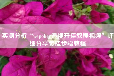 实测分析“wepoker透视开挂教程视频”详细分享装挂步骤教程