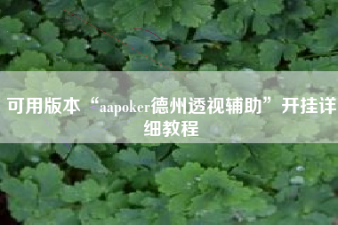 可用版本“aapoker德州透视辅助	”开挂详细教程