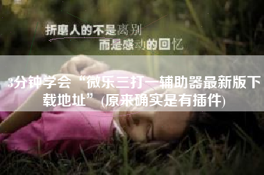 3分钟学会“微乐三打一辅助器最新版下载地址”(原来确实是有插件)