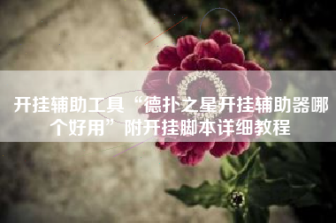 开挂辅助工具“德扑之星开挂辅助器哪个好用	”附开挂脚本详细教程