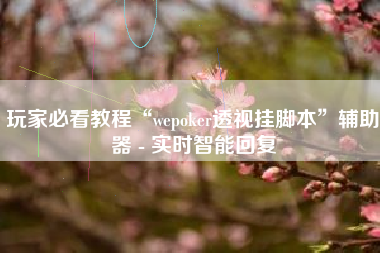 玩家必看教程“wepoker透视挂脚本”辅助器 - 实时智能回复